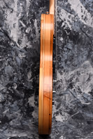 budcaster 4