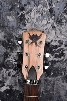 budcaster 5